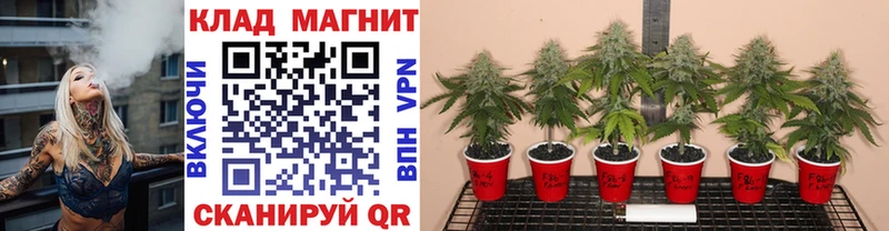Купить Cocaine АМФЕТАМИН ГАШИШ Меф Ленинск-Кузнецкий