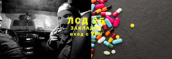 дживик Верхний Тагил