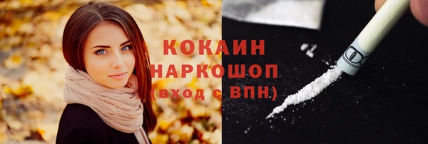 дживик Верхний Тагил