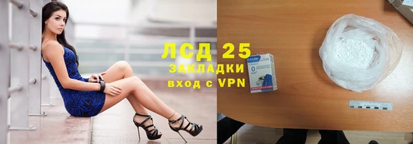 дживик Верхний Тагил