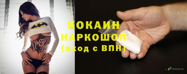 дживик Верхний Тагил