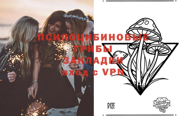 дживик Верхний Тагил