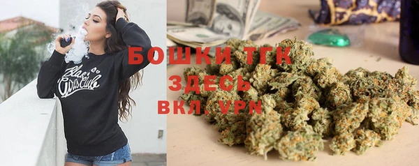 дживик Верхний Тагил