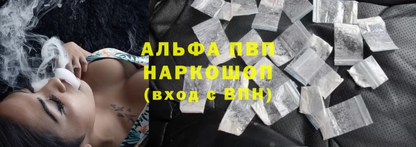 дживик Верхний Тагил