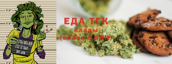 дживик Верхний Тагил