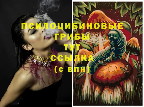 дживик Верхний Тагил