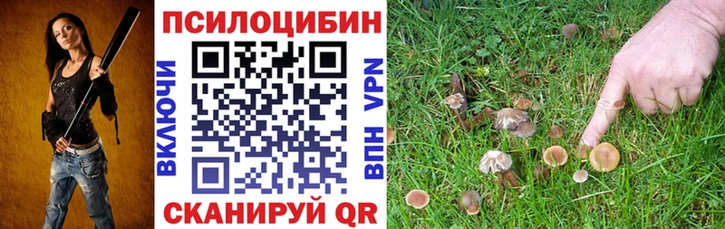 Купить  Ленинск-Кузнецкий  Псилоцибиновые грибы Magic Shrooms 