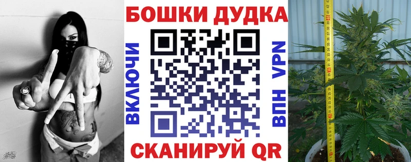 Купить закладки  Ленинск-Кузнецкий  Каннабис тримм 